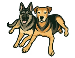 two dogs are sitting next to each other