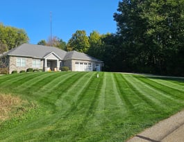 well kept lawn