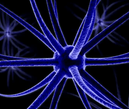 Image d'un neurotransmetteur pour illustrer l'article de blog ""Pourquoi je crée ?" de Xirkys