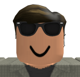 ValyRoblox20 - Board Chairman