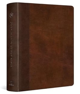 a brown leather book with a brown leather cover journaling bible