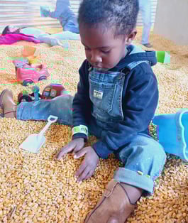 little boy playing with corn kernels in corn silo on Gaver Farms