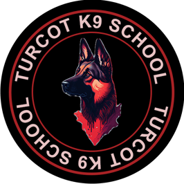 T.K.9 SCHOOL logo