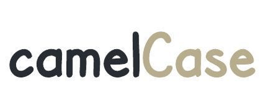 camelCase logo