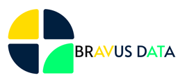 Bravus Data logo