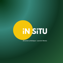 IN SITU, théâtre, lectures, installation, art de rue logo