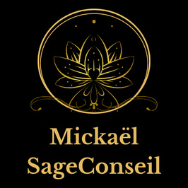Sage Conseil logo