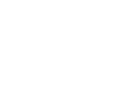 Logo EXEX Consulting