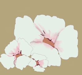 floral illustration for pattern print