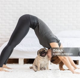 a woman doing yoga poses with a pug dog