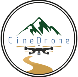 Logo CineDrone