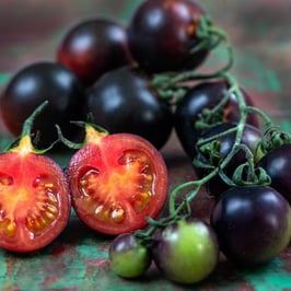 Indigo Rose Tomato