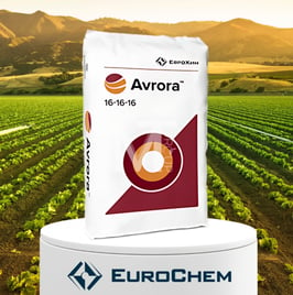 Eurochem NİTRO AMMOFOSKA 16:16:16