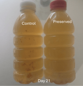 Green tea preservation