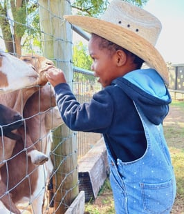 little boy in overalls and cowboy hat feeding animals at Gaver Farms