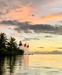Sunset casting warm light over a palm tree-lined beach on Taha'a island, French Polynesia.