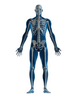 Flexacil Ultra para dolor articular, rigidez y movilidad en adultos y deportistas