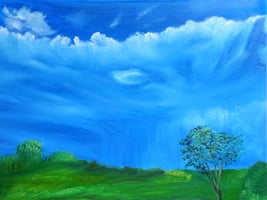 Meadow View