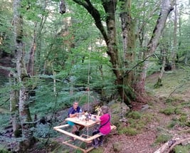 Hanging table in the forest with people having breakfast