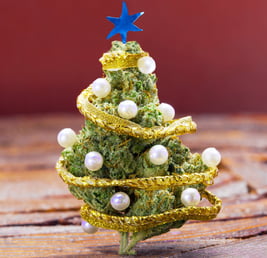 Cannabis Christmas in Malta