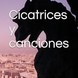 cicatrices y canciones, libro de poesía. poemas