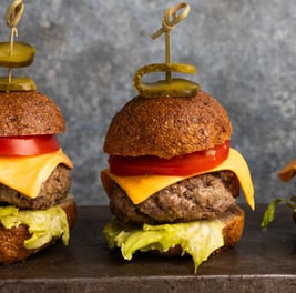 Sustainable plant-based, nutritionally-dense, hypoallergenic protein and fibre burgers