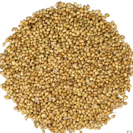 Coriander trader