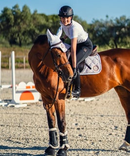 equitazione salto ostacoli