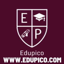 Edupico logo