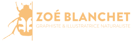 Zoé Blanchet - Graphiste et illustratrice naturaliste logo