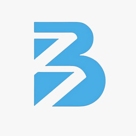 BRAZWRAP logo
