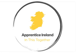 Apprentice Ireland logo