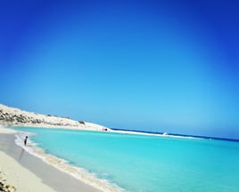 شقق رخيصة للإيجار بمرسى مطروح