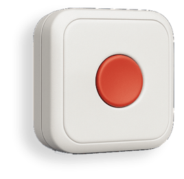 WeSafe Button