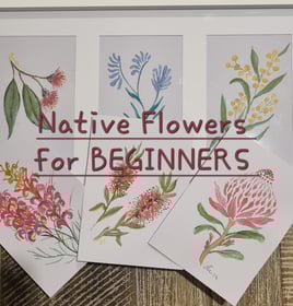 watercolour australian native flowers