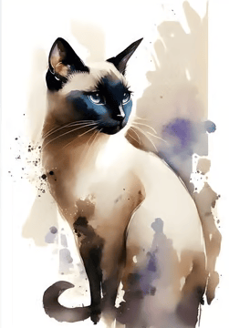 un chat siamois assis sur fond blanc