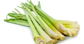 Fresh Lemon Grass , Xả cây UpBe Food VN 