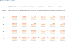 Executive Summary Dashboard: Dimension-Based Report showing key metrics and trendlines