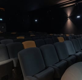 Photographie de notre salle de spectacle à Doussard (74).