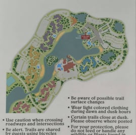 Disney's Riviera Resort Running Trail