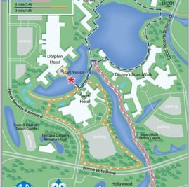 Swan and Dolphin Running Trail
