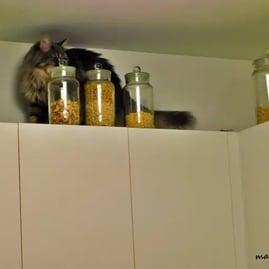 Simone derrièere les pots de pâtes