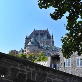 Château Frontenac, mur, arbre.