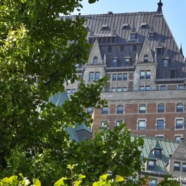 Château Frontenac, arbre.