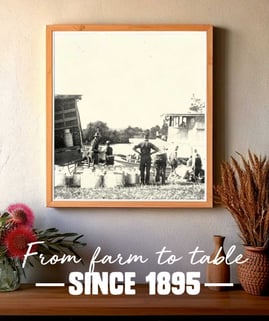 photo restoration example_2