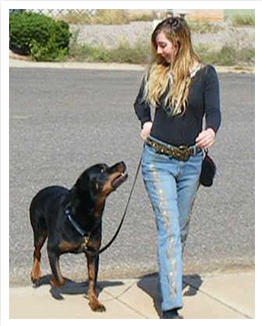 a woman walking a dog on a leash