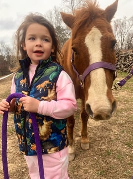 Health Vibes - Children can benefit greatly by therapy horses