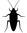Cockroach_24/03/25