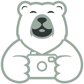 Papa Ours Photo logo