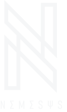 Nemesys Solutions logo